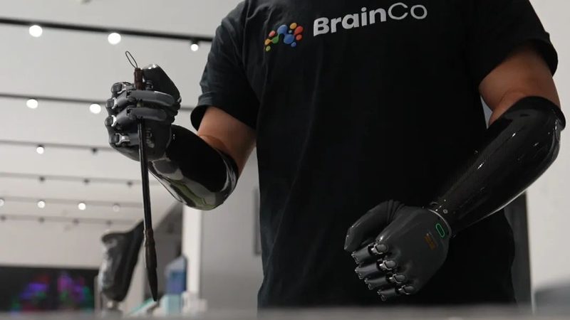 云服务器与物理机：成本考量背后的技术考量